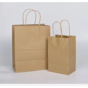 Door Gift Paper Bag 50PCS